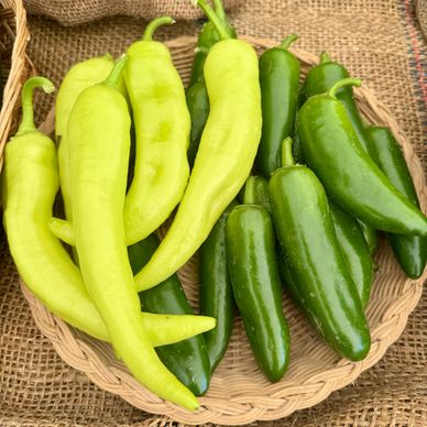 Banana Peppers and Jalapeños in a basket