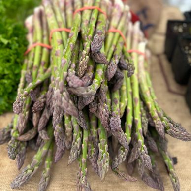 Asparagus bunches