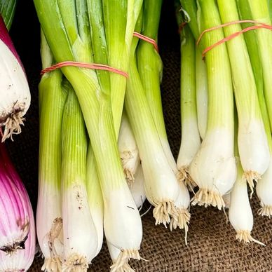 green onions