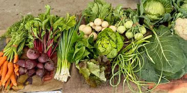 A variety of fresh vegetable are displayed on a table.