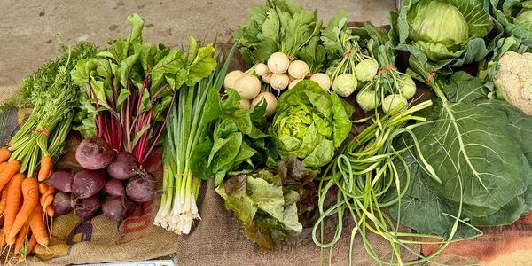 A variety of fresh vegetable are displayed on a table.
