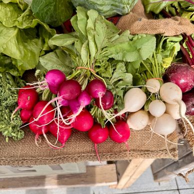 radishes