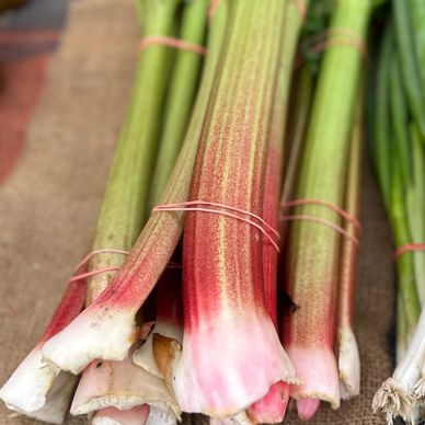 Rhubarb Bunches