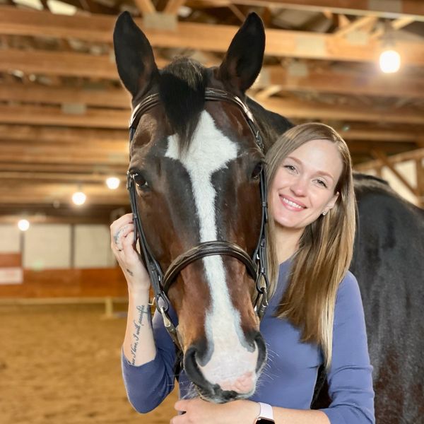 Bailey’s Equine Bodywork