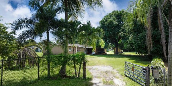 Rural property entrance with palm trees and fencing.