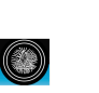 MEW ETHIOPIAN COFFEE SERVICE LLC