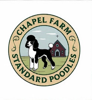 Chapel Farm Standard Poodles