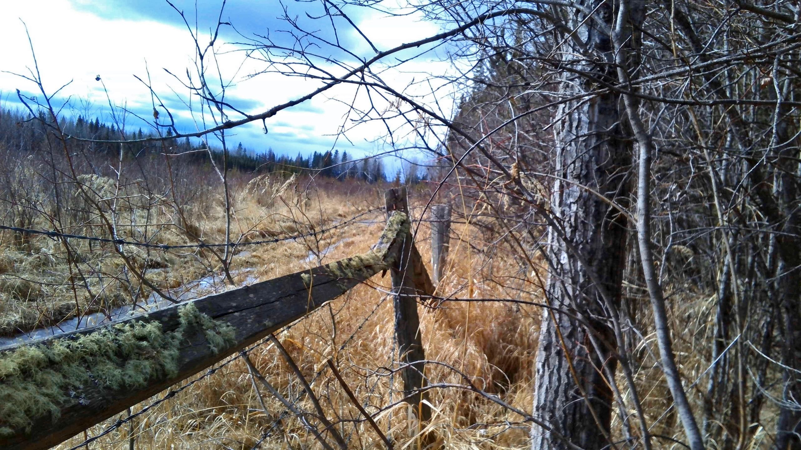 Real Property Report, Subdivision Rose Creek Geomatics Inc.