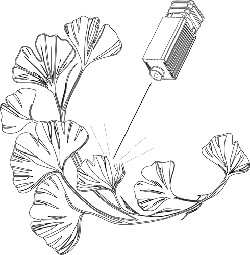 Logo
Arte en Láser