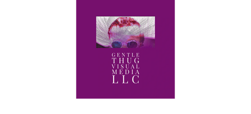 GENTLE THUG VISUAL MEDIA LLC is a premiere video production company.