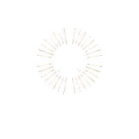 The Holistic HighVibe Tribe