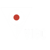 ViGo Energy Group
