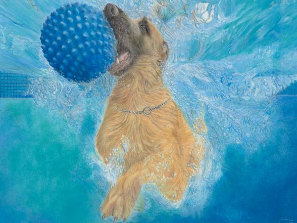 A dog underwater catching a blue ball mid-jump.