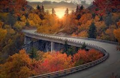 Route entre des arbres aux couleurs de l'automne une  région desservie par MEFF Chaudière-Appalache
