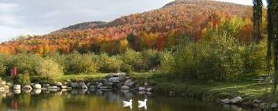 Étang bordée d'arbre au feuillage d'automne, paysage de la Montérégie région desservie par MEFF