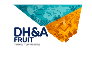 dh&a - Freigh forwarder & consultanT