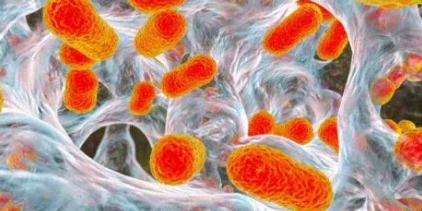 Image Credit: https://www.shutterstock.com/search/biofilm