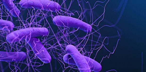 Image Credit: Centers for Disease Control and Prevention