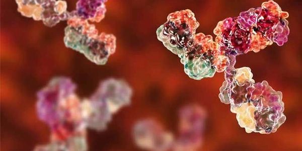Image Credit: Technology Networks, drug-discovery