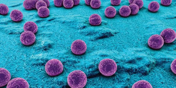 Image Credit: Biomerieux