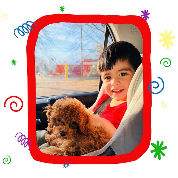 A young boy in a car seat holding a curly brown puppy, smiling happily.
