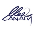 Blue Canary Agency
