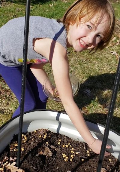 child sowing seeds in a plastic tub with soil