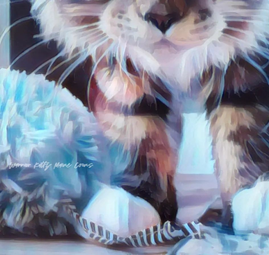Pastel watercolor representation of a giant black Maine Coon kitten standing next to a toy