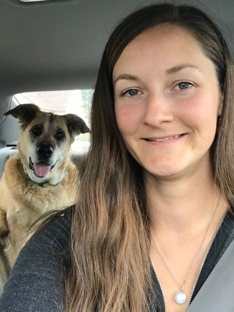 Dog sitting Pet sitter Wenatchee