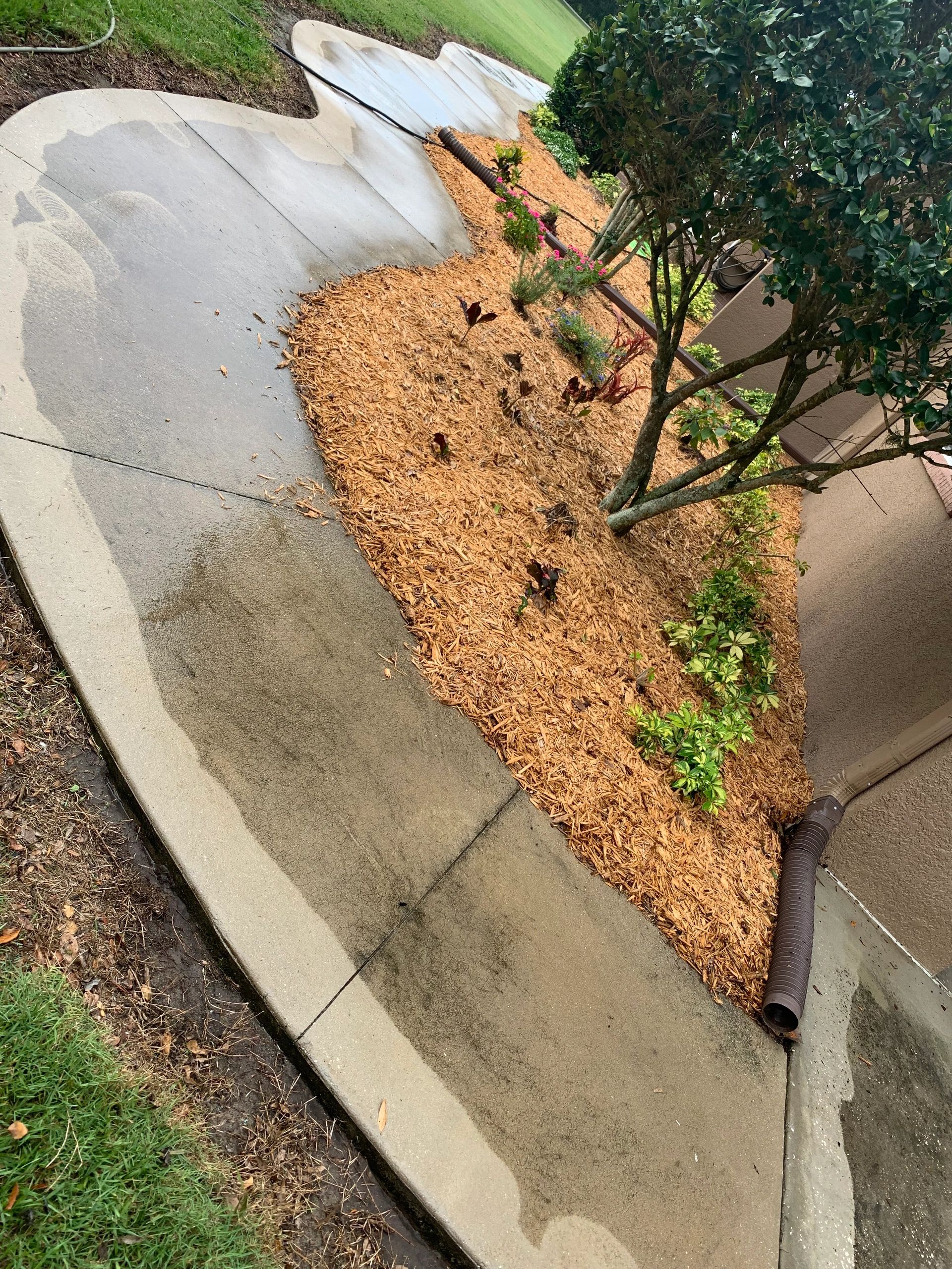 Sidewalk cleaning in progress