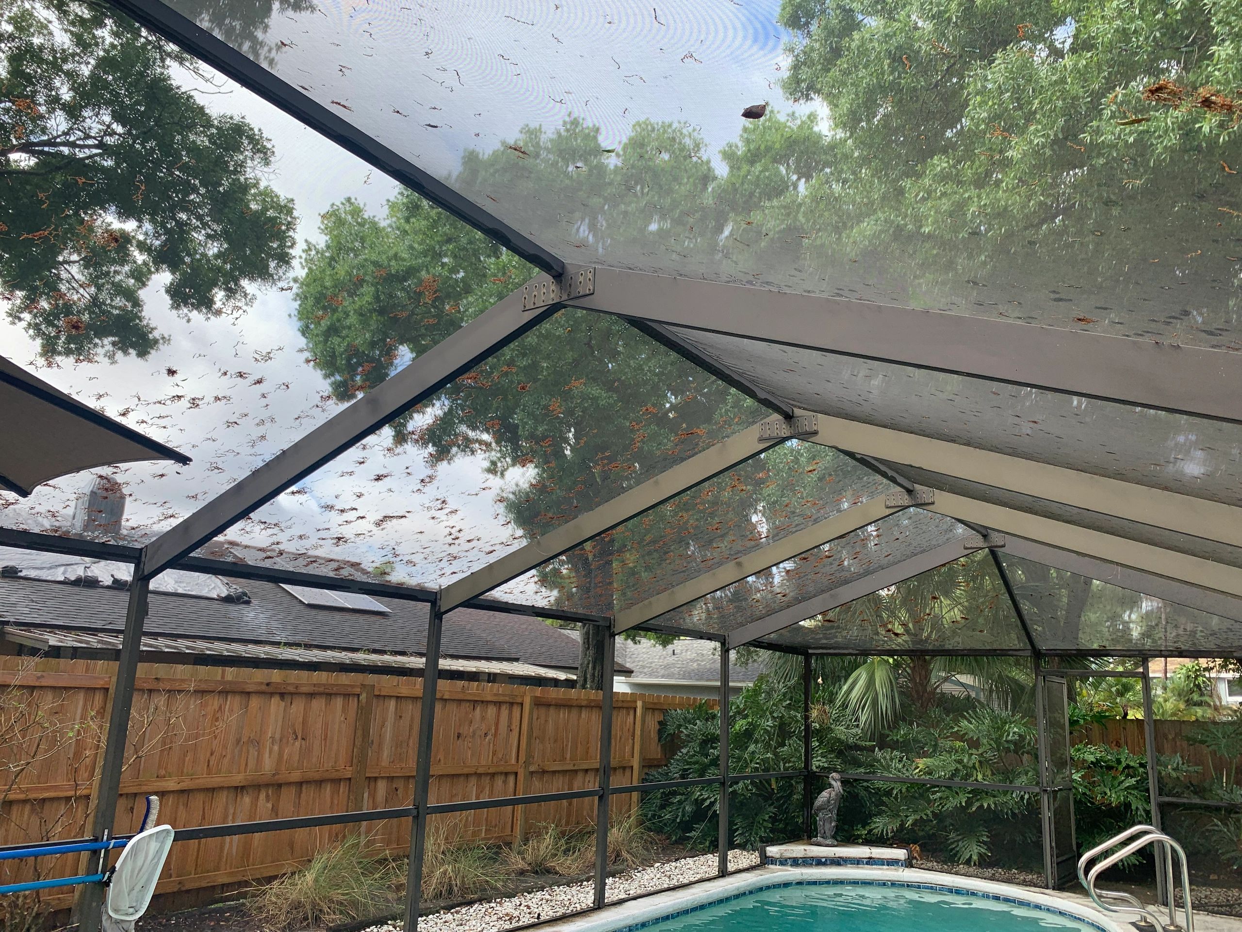 Pool cage screen cleaning