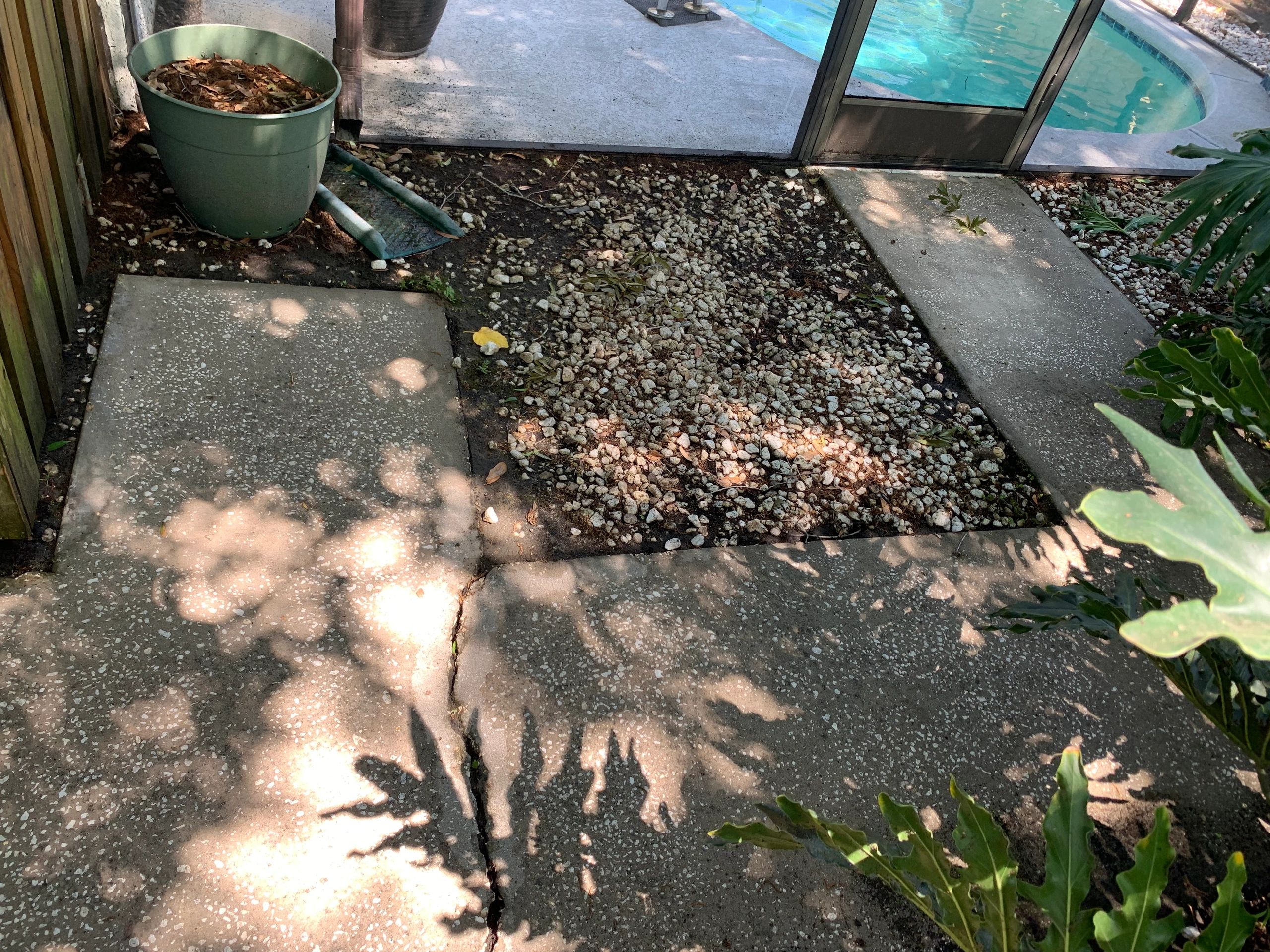 Paver walkway cleaning