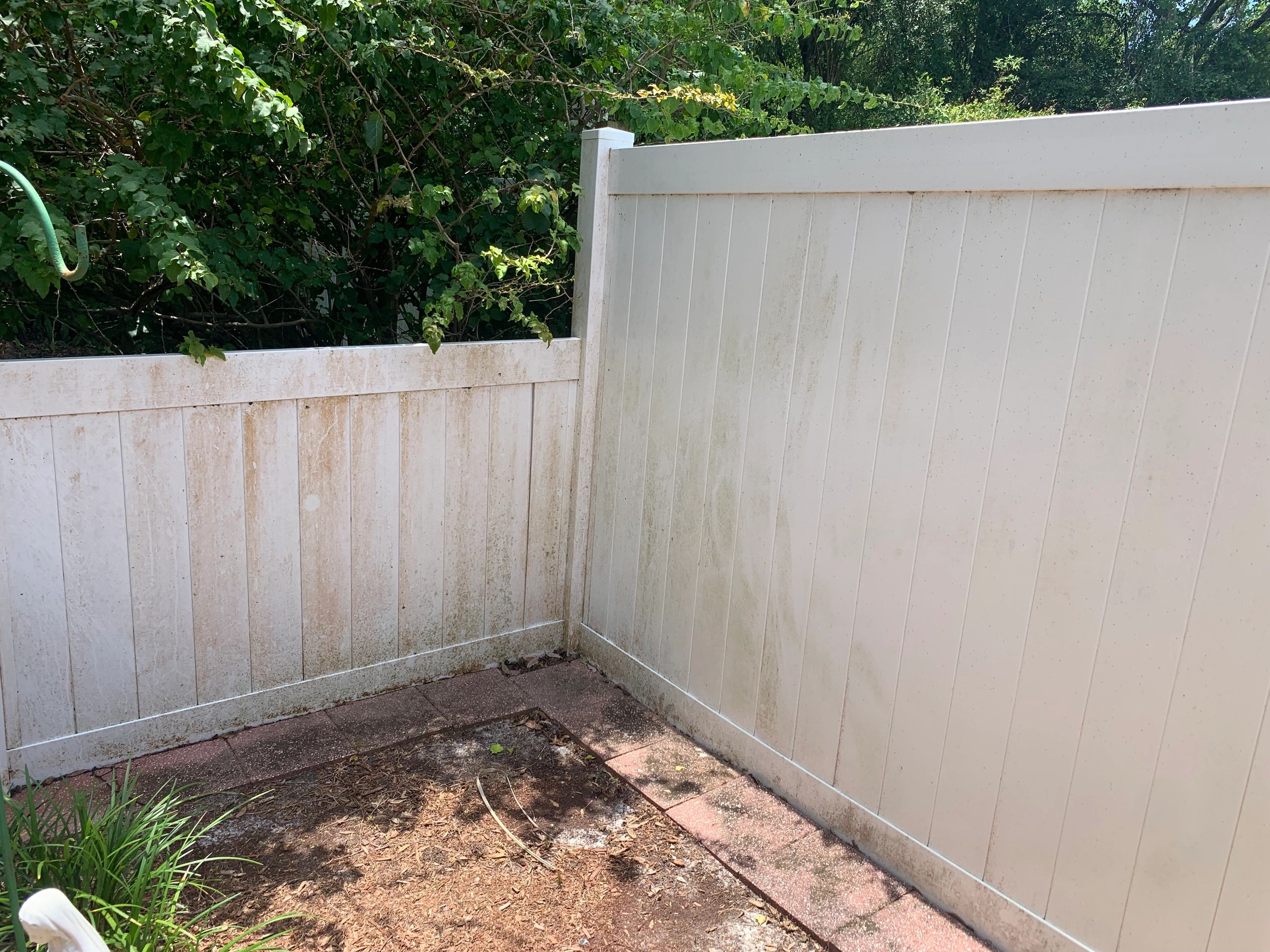 Professional pressure washing in Tampa Bay