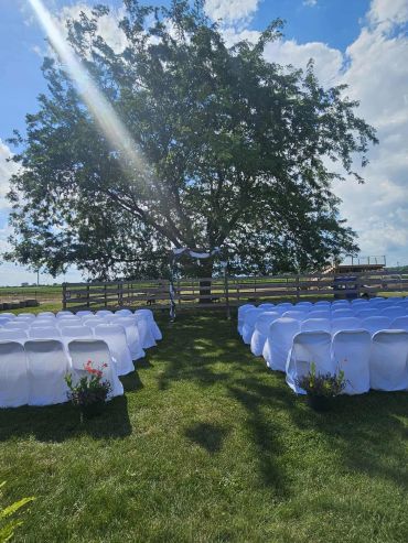 Outdoor wedding setup under a large tree with white chairs.