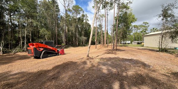Cleared land with a red tractor and forest backdrop under blue sky.