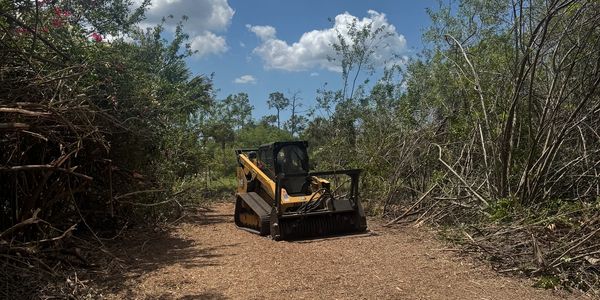 A skid steer clearing a wooded path under a blue sky.