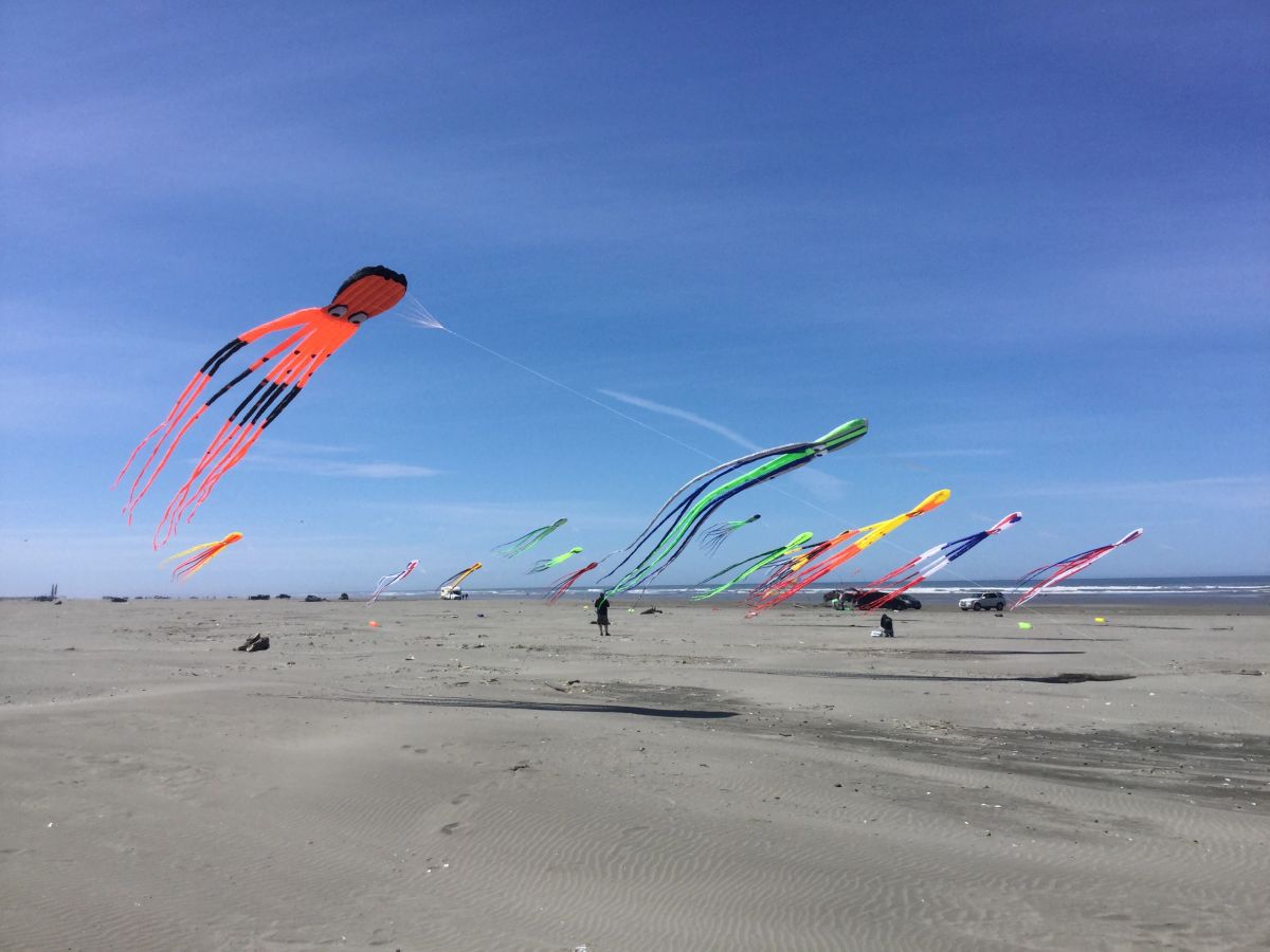 26ft Octopus Kite