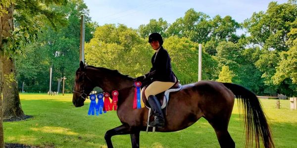 Equestrian rider on a horse adorned with multiple colorful ribbons in a green outdoor setting.