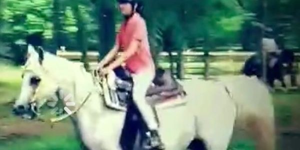 Person riding a white horse in a green outdoor setting.