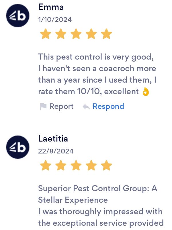 Customer Reviews 