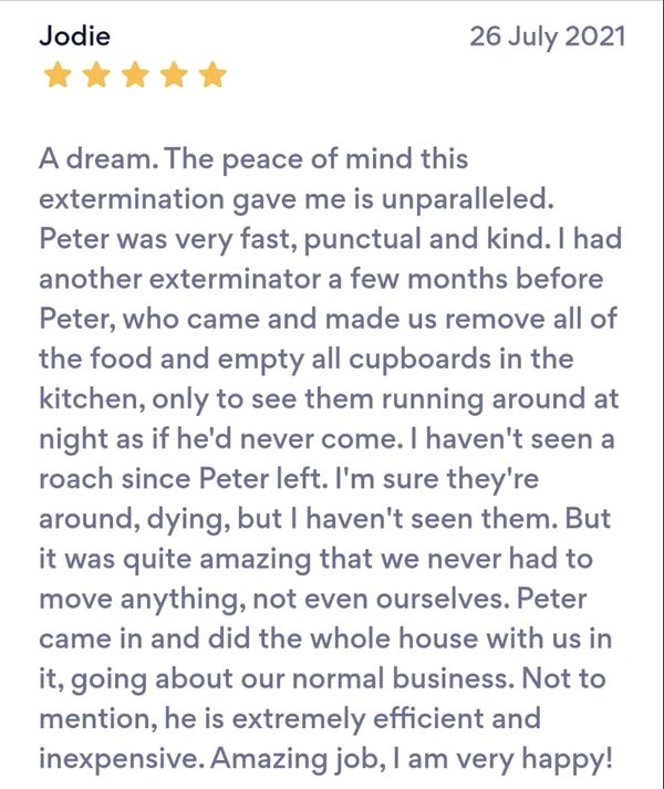 Customer Reviews 
