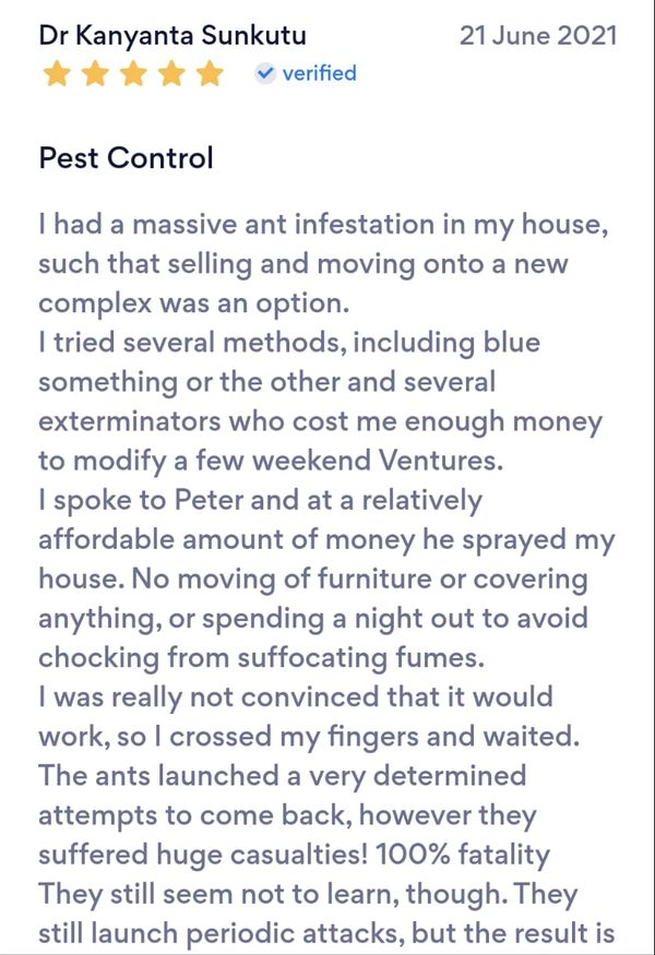 Customer Reviews 