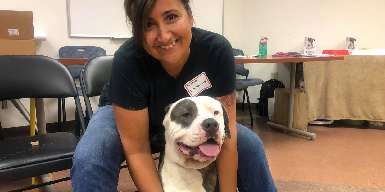 Happy dog and owner.