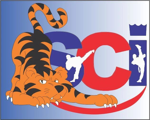 Despierta el tigre que llevas adentro — soy Hwarrang