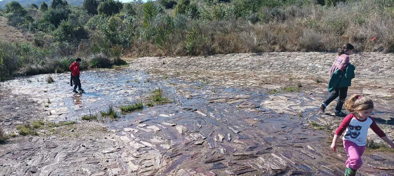 Paseo y reconocimiento de plantas en las sierras de Rocha