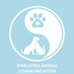 shirleywuanimalcommunication.com