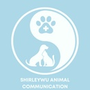 shirleywuanimalcommunication.com