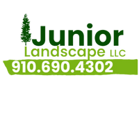 juniorlandscapellc.org