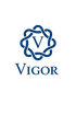 Vigor Industries