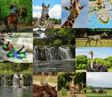 Aventura safari tico